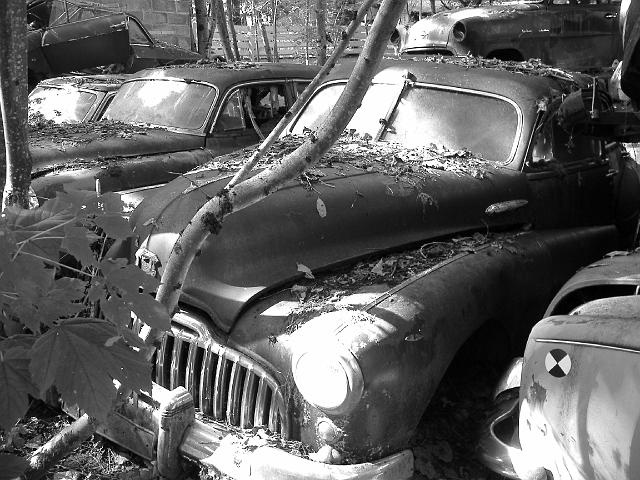 Autofriedhof - 185.JPG - Historischer Autofriedhof,    Gürbetal (CH)